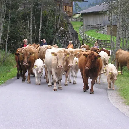 Stoegergut By Schladming-appartements דירה *