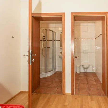 Stoegergut By Schladming-appartements シュラートミンク