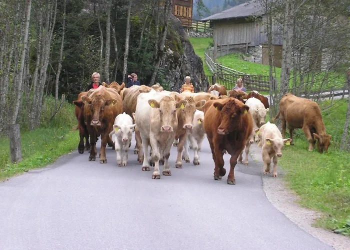 Stogergut Appartement *