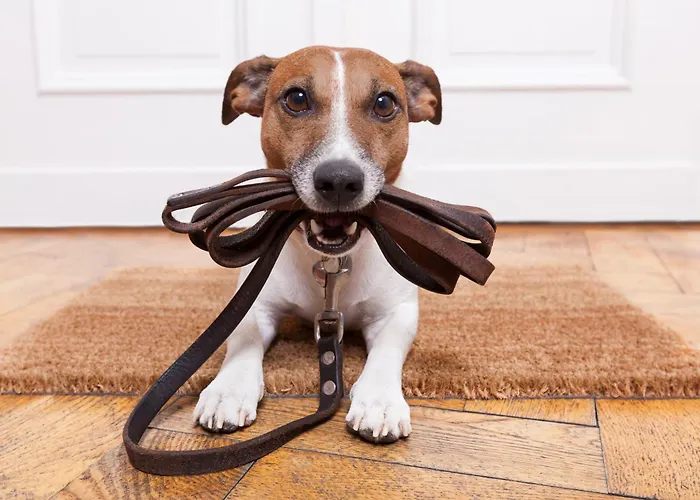 דירה Stoegergut By Schladming-appartements *