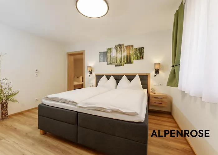 Daire Stoegergut By Schladming-appartements